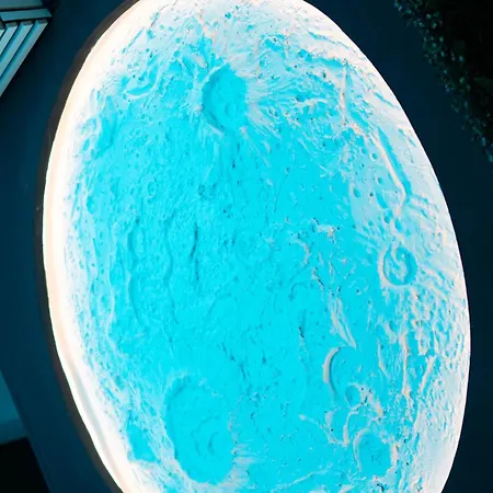 13pacate By Elprofesor Daire