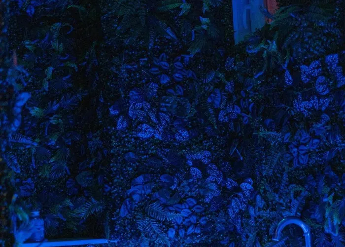 アパート 13pacate By Elprofesor *