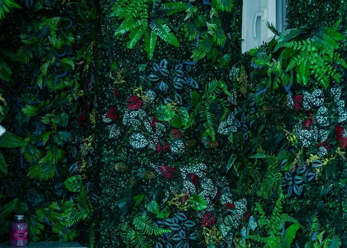 Апартаменти 13pacate By Elprofesor