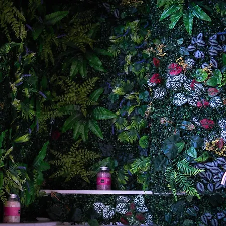 Apartamento 13pacate By Elprofesor *